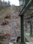 IMG-1291.JPG