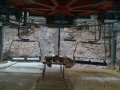 IMG-1296.JPG