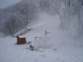 epleny_sipalya_2008_08.jpg