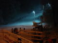 epleny_sipalya_2008_19.jpg
