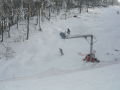 2011.02.04.-Epleny-030.jpg
