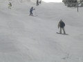 2011.02.04.-Epleny-040.jpg