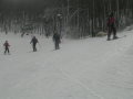 2011.02.04.-Epleny-059.jpg