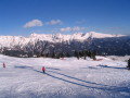 fanningberg-35.jpg