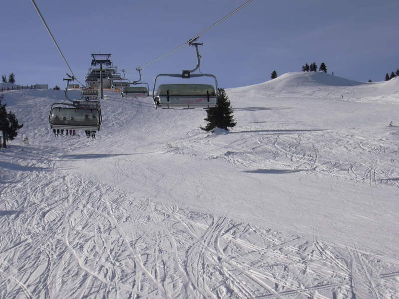 DSCN4219.JPG