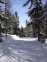 DSCN4198.JPG