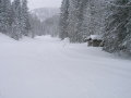 Fieberbrunn-2010-068.jpg