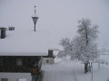 Fieberbrunn-2010-077.jpg