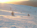 DSCN0545-resize.JPG