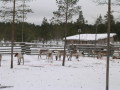 DSCN0636-resize.JPG