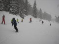2010-01-23-29-418.jpg