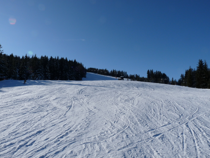 P1020216.JPG