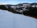P1050159.JPG