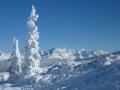 Flachau 2012. janu�r