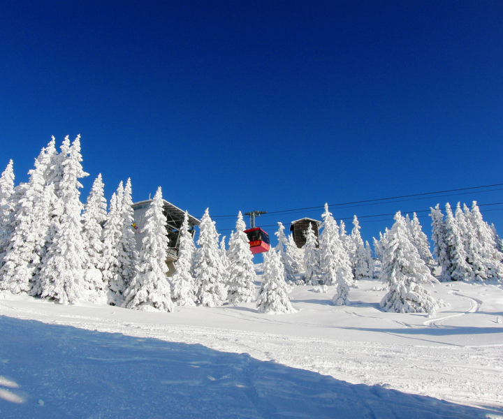 S�oktat�s Ausztri�ban - Flachau, Wagrain .... - www,sielj3000meteren.hu