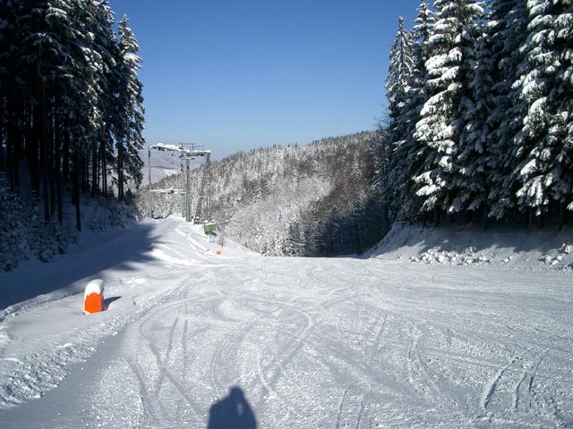 forsteralm004.jpg