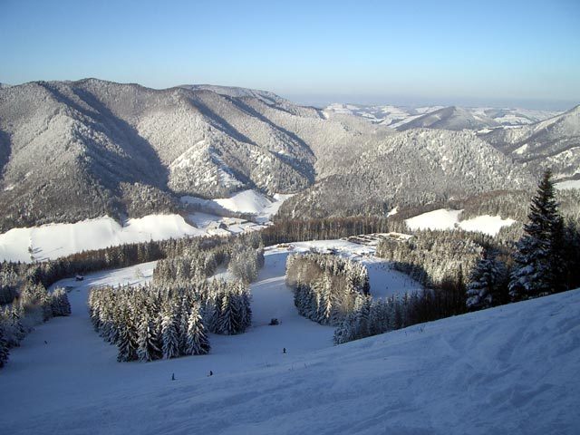 forsteralm009.jpg