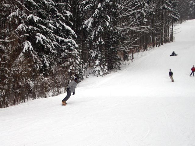 forsteralm010.jpg