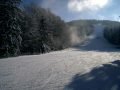 forsteralm005.jpg
