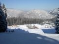forsteralm006.jpg