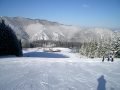 forsteralm007.jpg