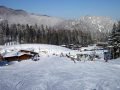 forsteralm008.jpg
