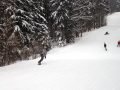 forsteralm010.jpg