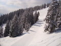 DSC04917.JPG