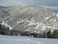 IMG-0011.JPG