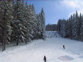 IMG-5711.JPG