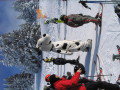 IMG-5716.JPG