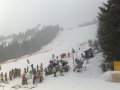 201103102909.jpg