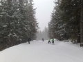 201103102925.jpg
