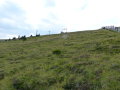 P1110198.JPG