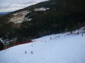 P1130008.JPG