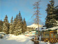 DSC02220.jpg