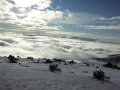 DSC02267.jpg