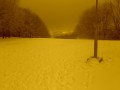 K�kestet�&nbsp;(7 k�p)