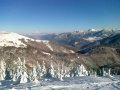 20120127575.jpg