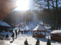 IMG-2963.JPG
