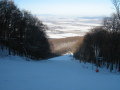 IMG-2972.JPG