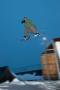 Snowboard&nbsp;(18 k�p)