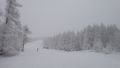 DSC03508.jpg