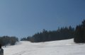 20110314WenigzellE.jpg