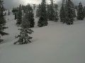IMG-3543.JPG