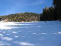 IMG-6033-2.JPG
