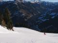 IMG-6156-1.JPG