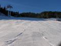 IMG-6173-1.JPG