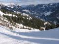 IMG-6355-2.JPG