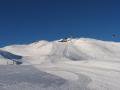 IMG-8366-1.JPG